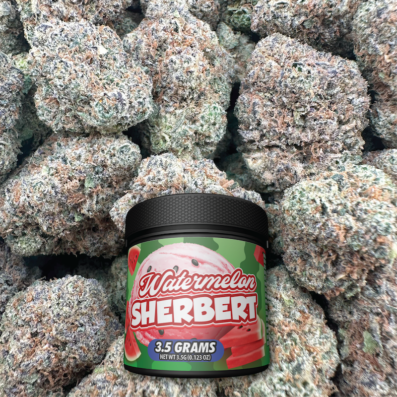 watermelon sherbet strain