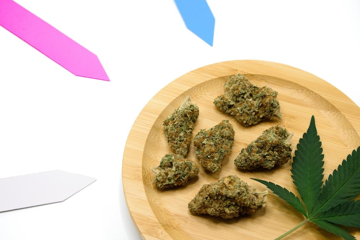 cannabis edibles