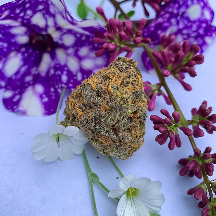 lucky flower
